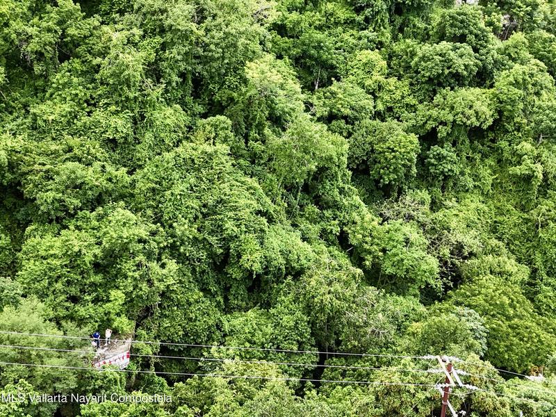 20251003195946319078000000 o