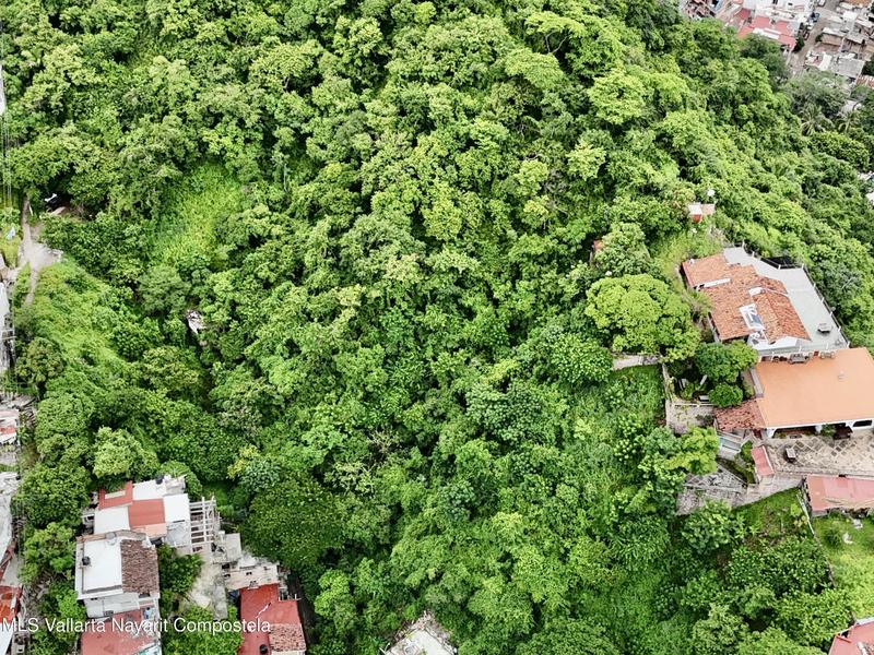 20251003195955457585000000 o