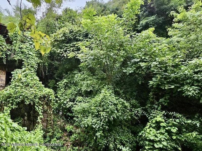 512 Arroyo Del Pedregoso, Terreno Mirador, Puerto Vallarta, Ja