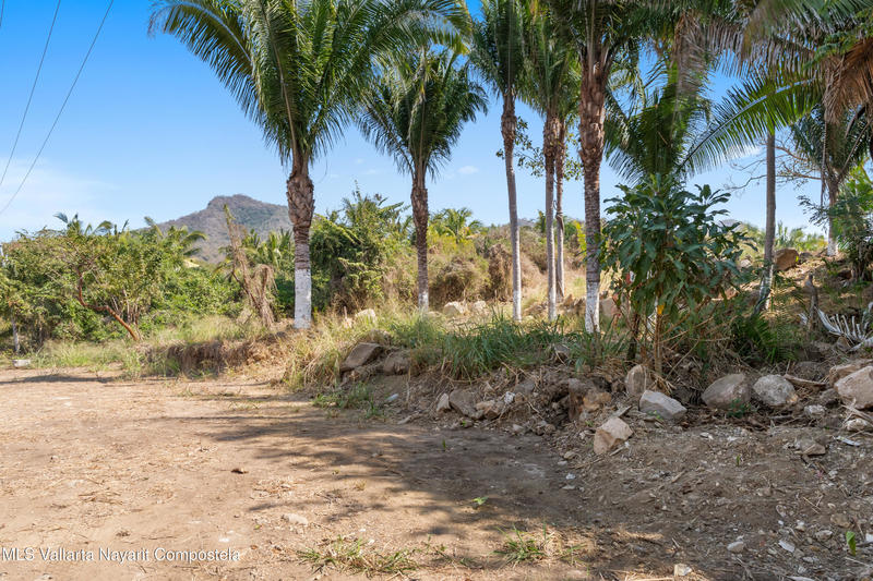 20260211210953704604000000 o