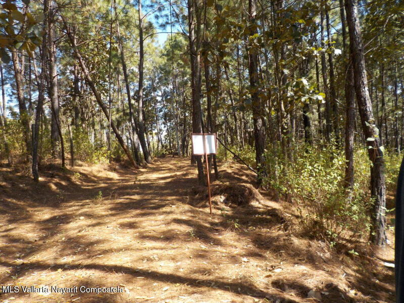 #9 Lote Navidad, Cumbre Verde, Sierra Madre Jalisco, Ja