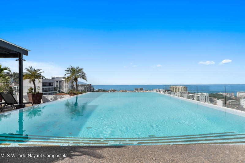 20260131191039955191000000 o