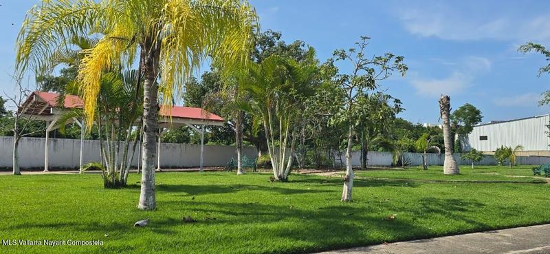 20251020194435985005000000 o