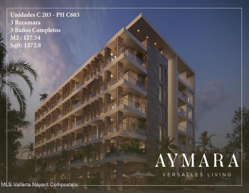 Aymara C403