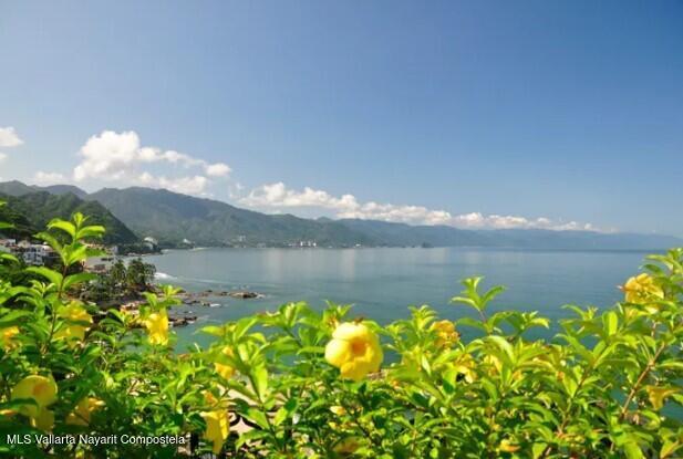 20251110211030668872000000 o