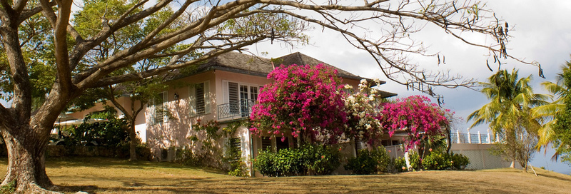 Bumpers nest jamaica villas02