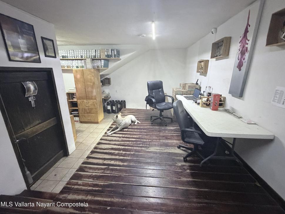 20260212001759613793000000 o