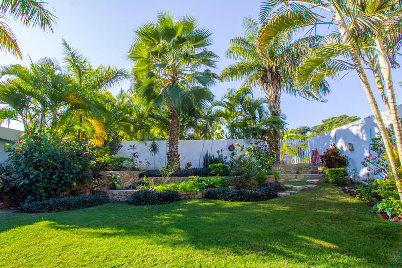 Casa Colibri Mezcales