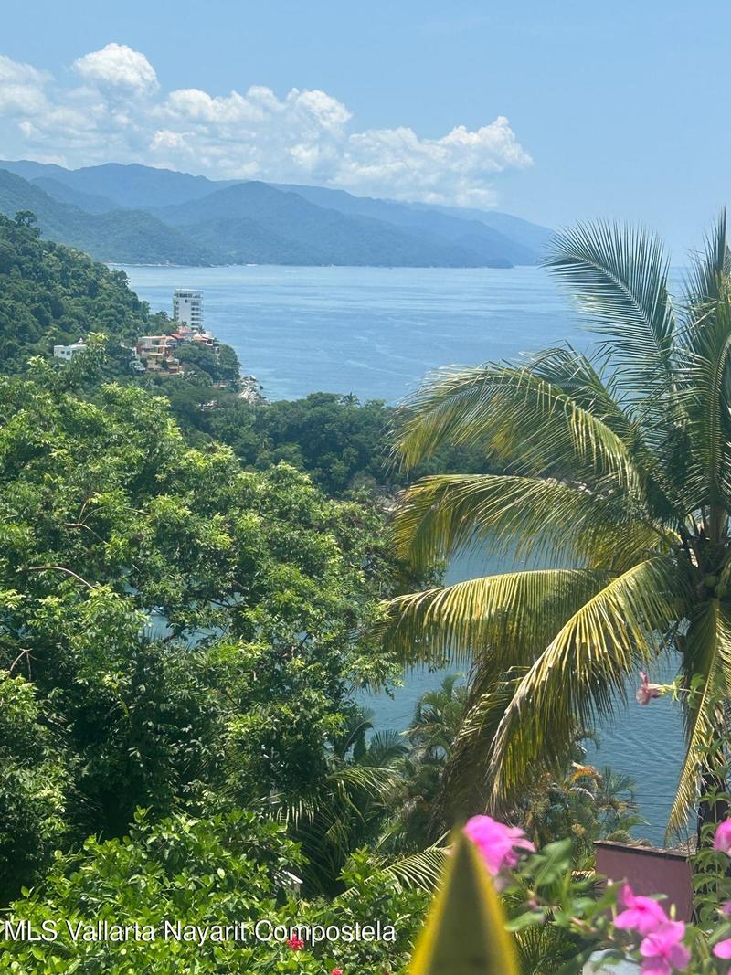 20250729033032992134000000 o