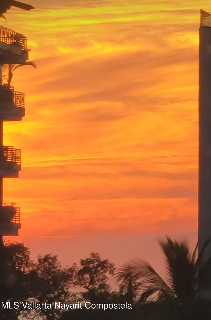 Condo Patron 3