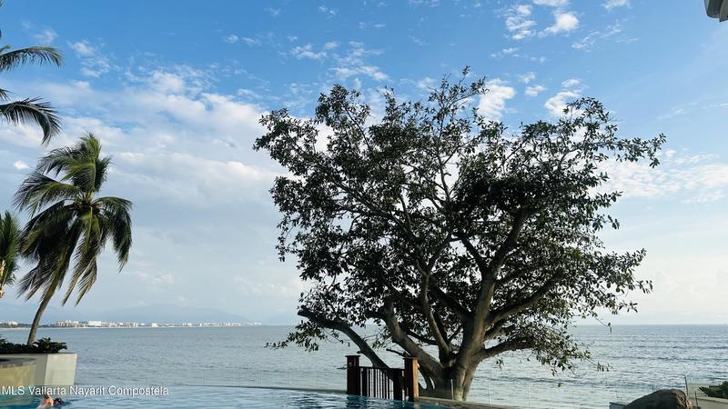 20251211193705055282000000 o