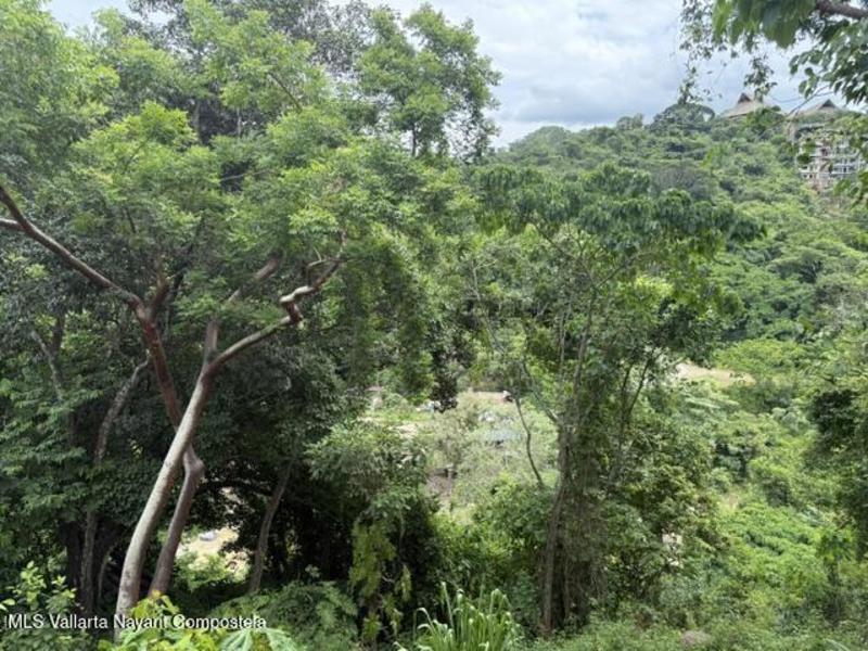 20250908201444131561000000 o