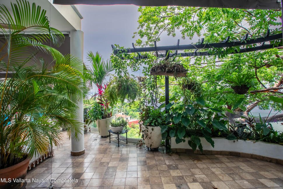 20250805052027884609000000 o