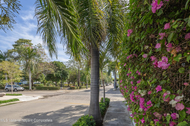 20260204220006818160000000 o