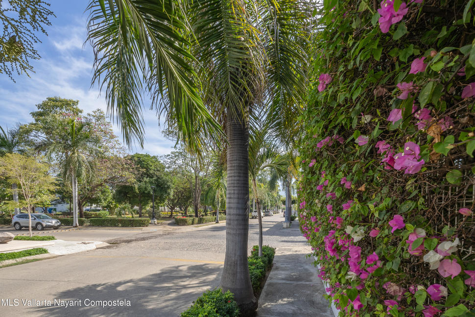 20260204220006818160000000 o