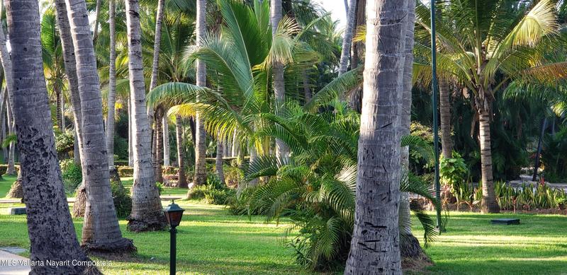 20251016003723333731000000 o