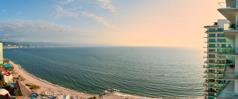 Iconvallarta 1-2502