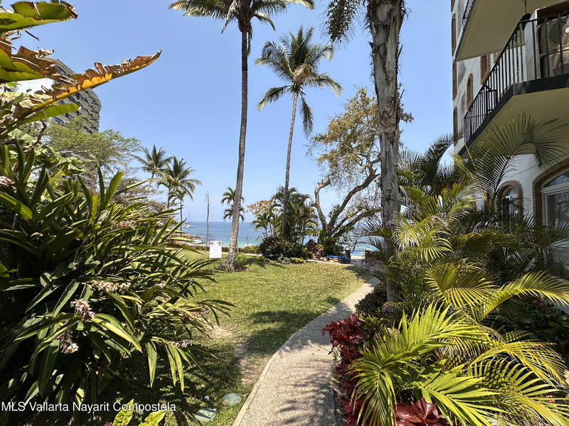 20250430204711898134000000 o