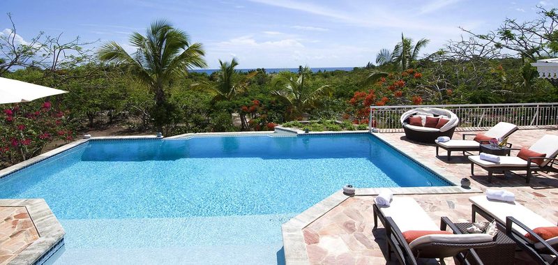 Jardin creole 23