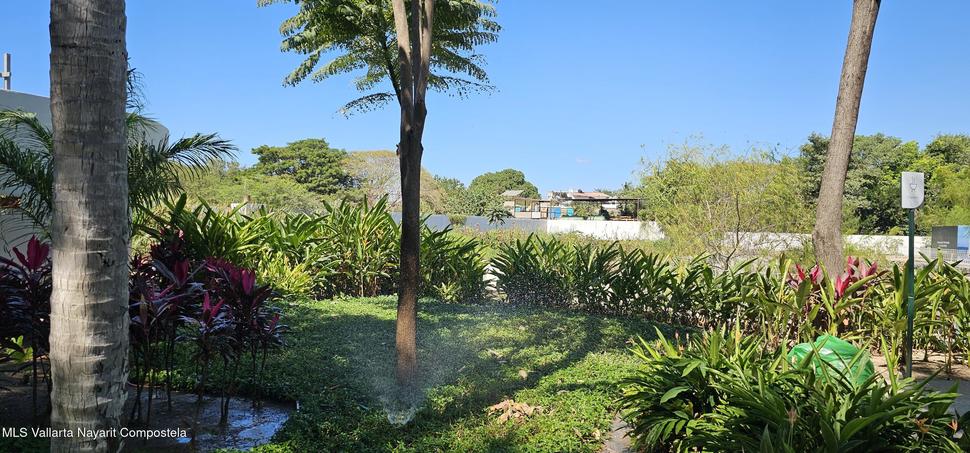 20260215012120923840000000 o