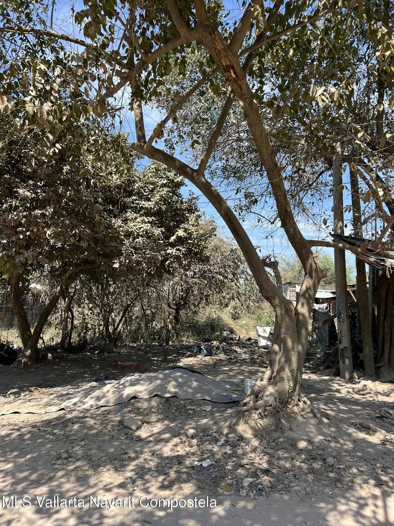 20260209204115286499000000 o