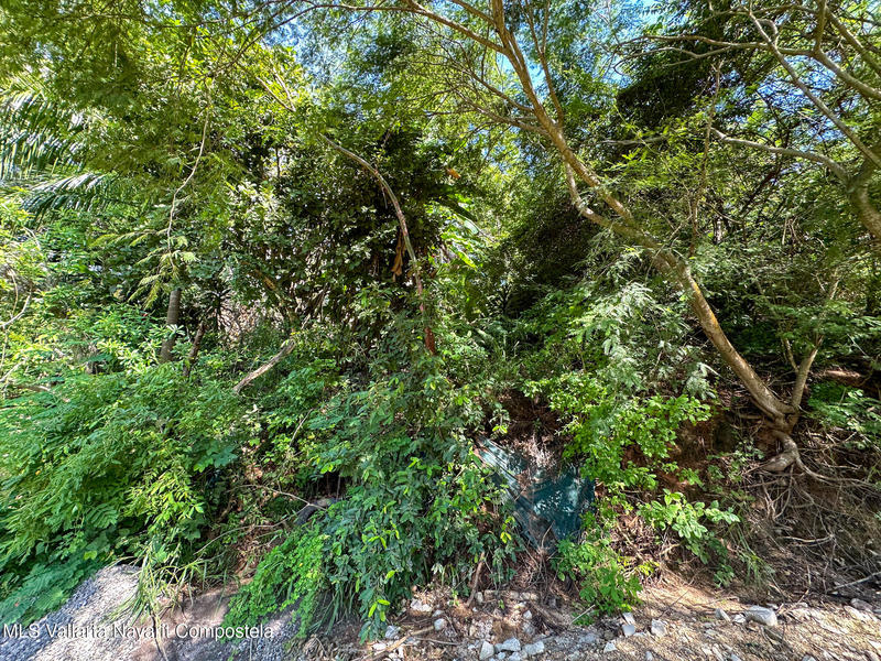 20251027202517594609000000 o