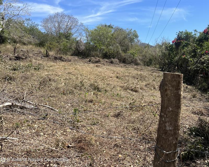 20260128154319275359000000 o