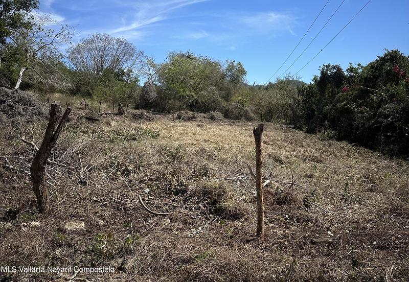 20260128154331046285000000 o