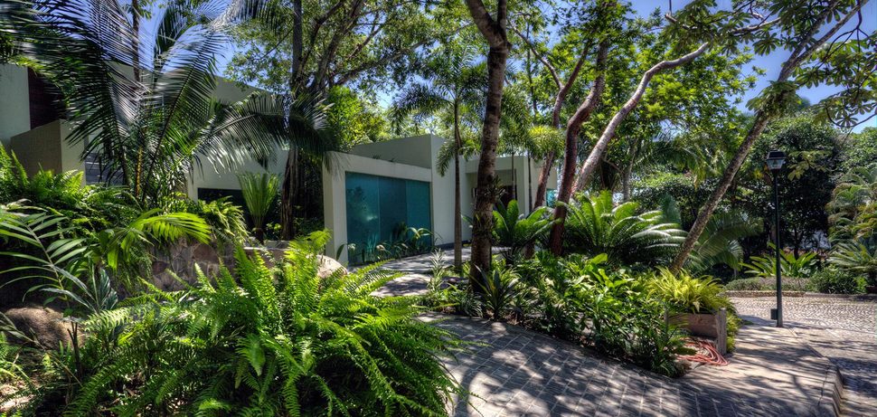 Puerto vallarta moderna 02
