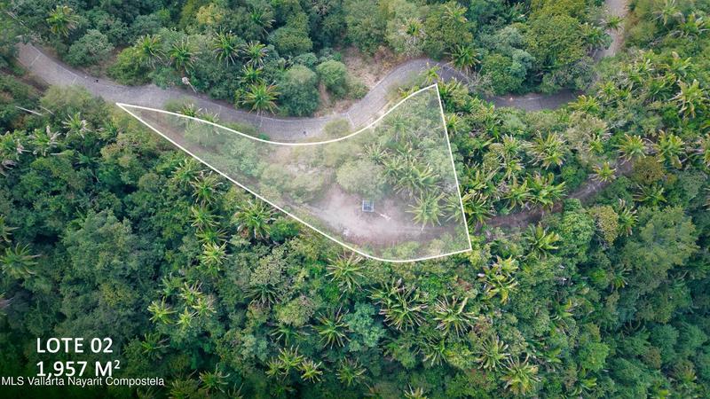 20251231174131860682000000 o