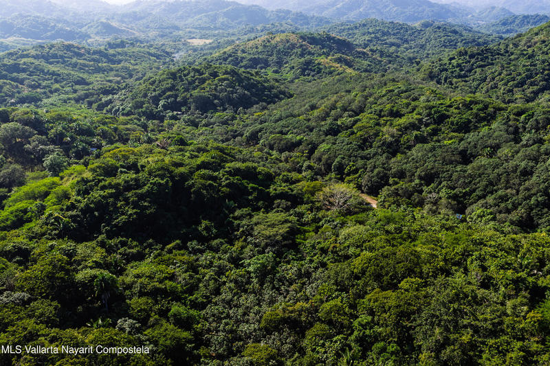 20251219171901241119000000 o