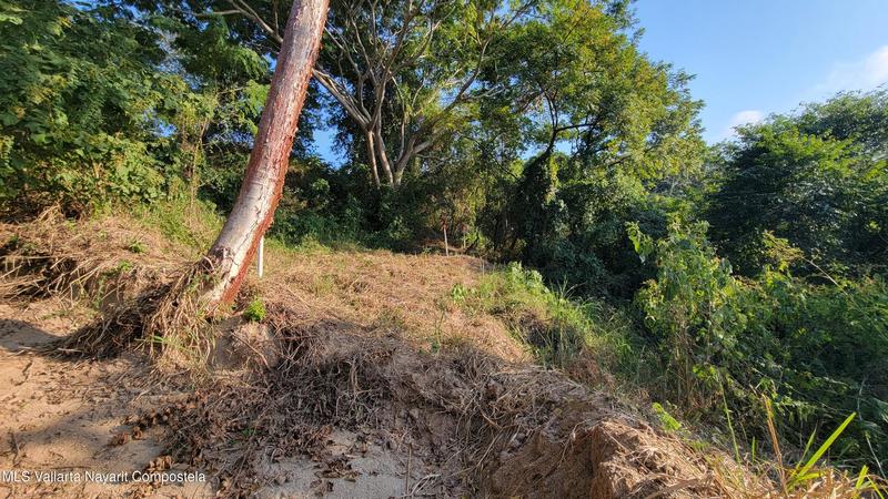 20260128000241814830000000 o