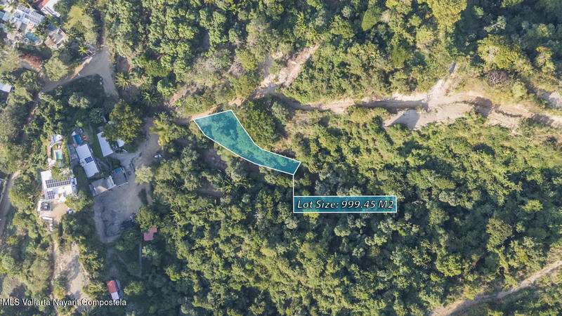 20260128000634087942000000 o