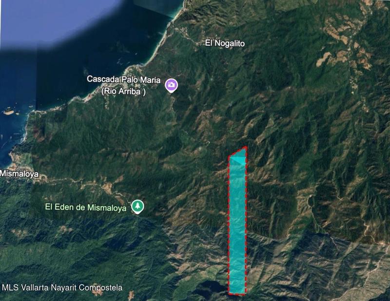 20260123192421516125000000 o