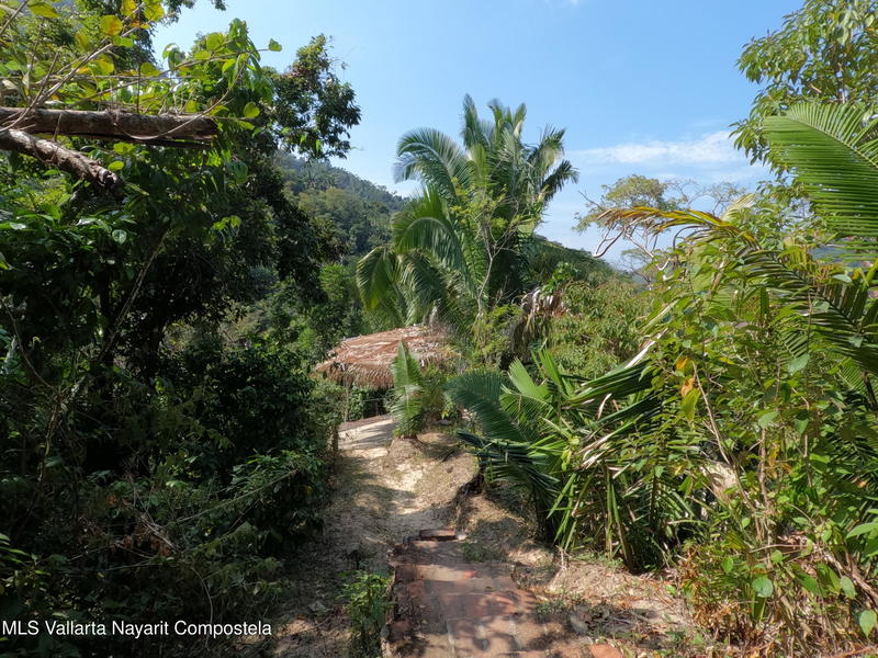 20260203202202418729000000 o