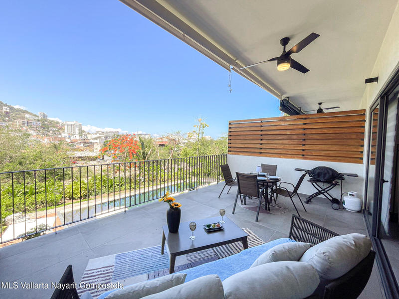 Oasis 204