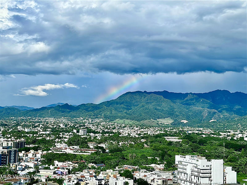 20250729002357917442000000 o