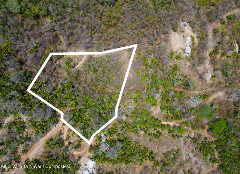 20250723225529936733000000 o