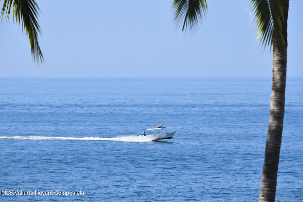 20251124175002948375000000 o