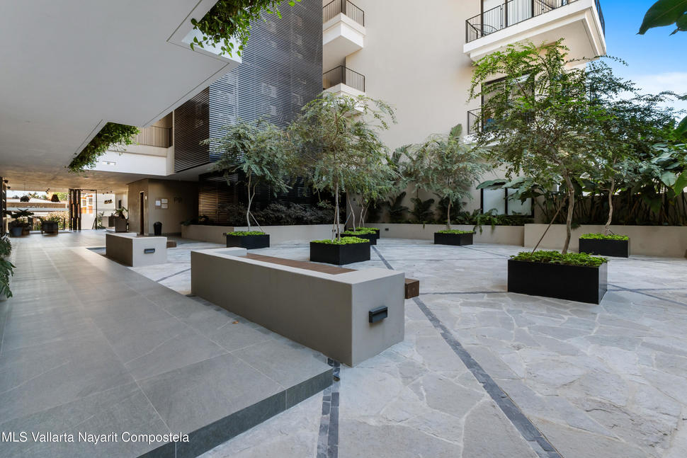 20260219191919442918000000 o