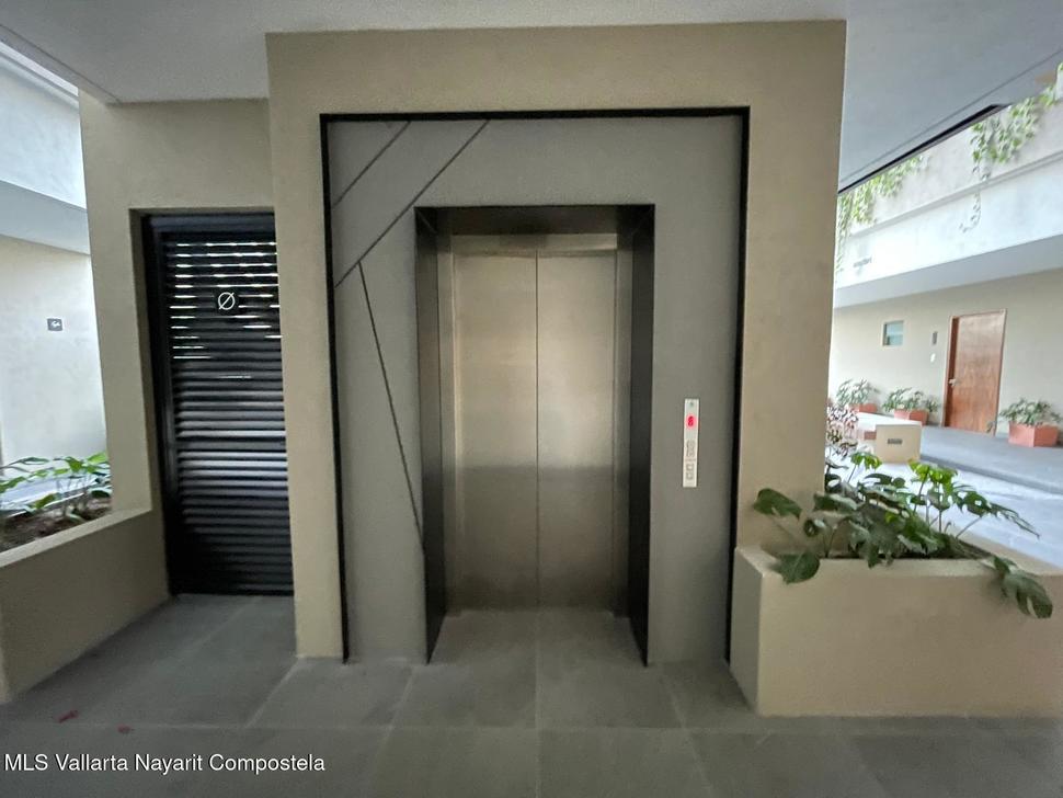 20260219191919654767000000 o