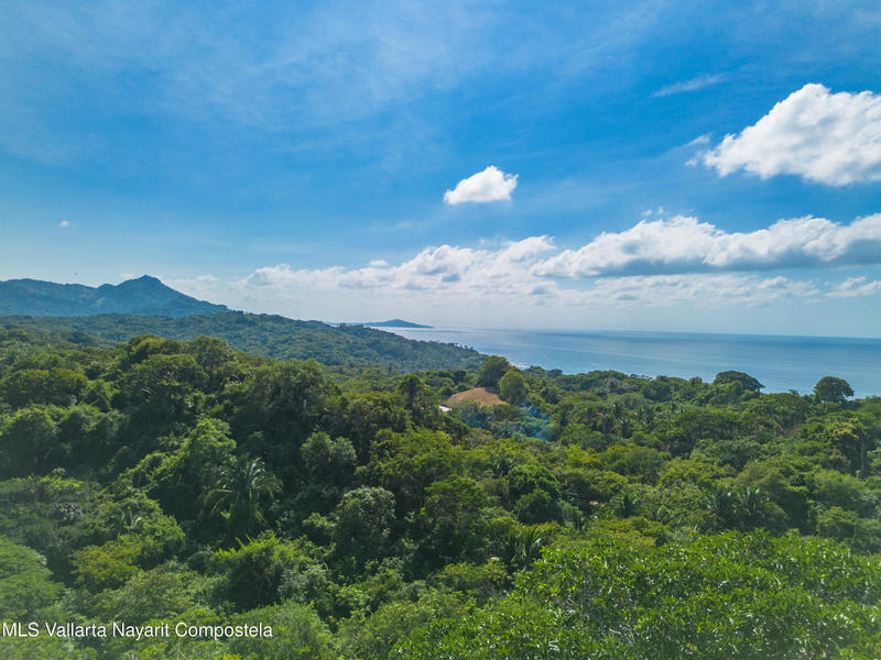 20251205172837556712000000 o