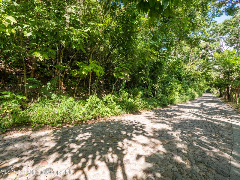 20251205172853666050000000 o