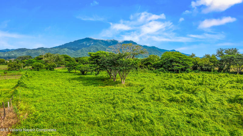 20250926022044090140000000 o