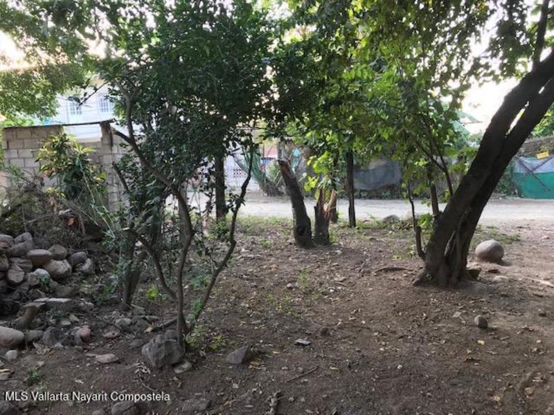 20251222042916575783000000 o