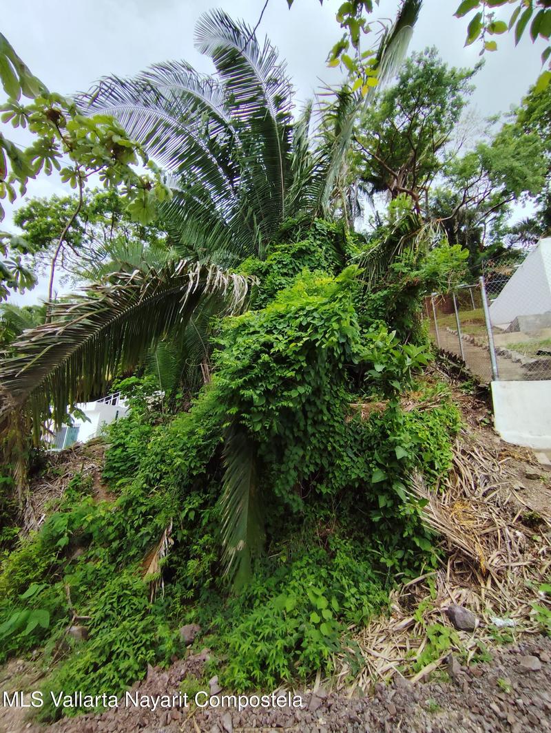 20250731184135999638000000 o