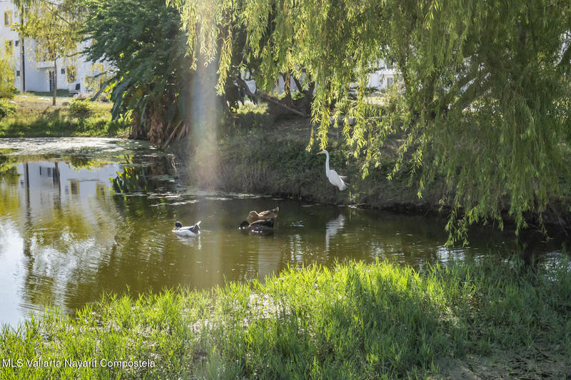 20260113213536382109000000 o