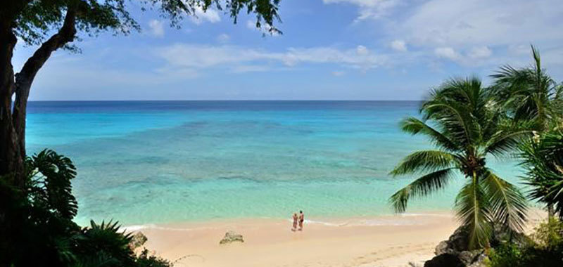 Secret cove 1 13