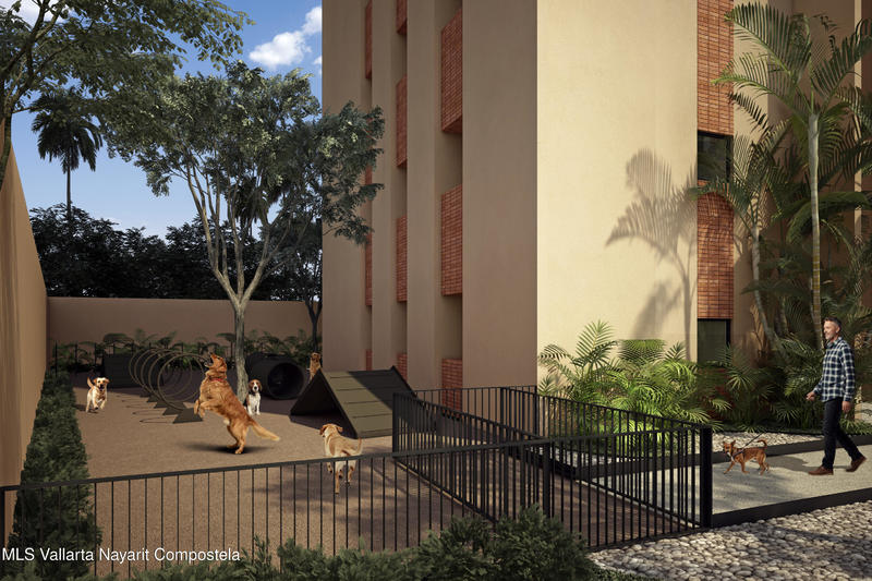 20251217031033721571000000 o