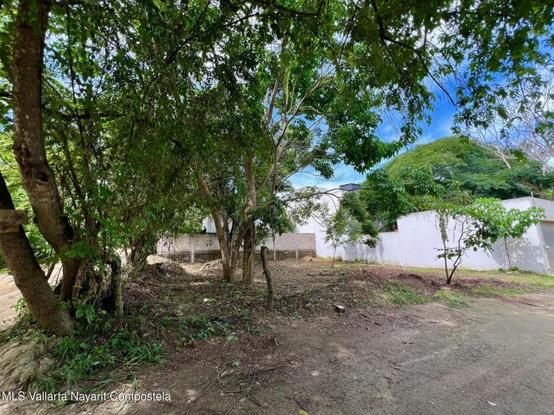 20250829204259835054000000 o